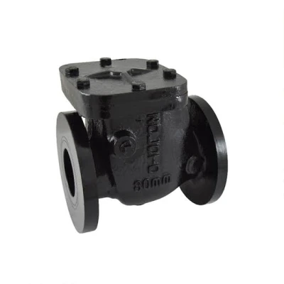 ZOLOTO Cast Iron Non-Return Valve PN 1.0 (Flanged) (1083)